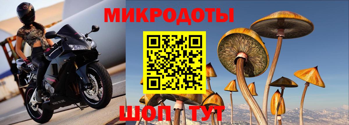 Электрогорск  Псилоцибиновые грибы мухоморы  Вход с VPN 