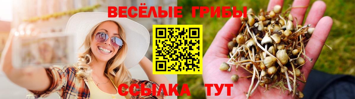 Псилоцибиновые грибы Magic Shrooms Электрогорск